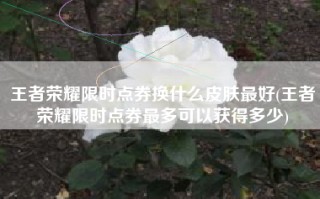 王者荣耀限时点券换什么皮肤最好(王者荣耀限时点券最多可以获得多少)