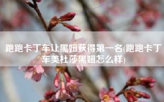 跑跑卡丁车让黑妞获得第一名(跑跑卡丁车美杜莎黑妞怎么样)