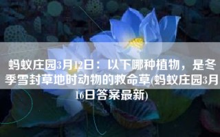 蚂蚁庄园3月12日：以下哪种植物，是冬季雪封草地时动物的救命草(蚂蚁庄园3月16日答案最新)