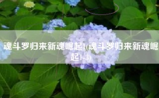 魂斗罗归来新魂崛起1(魂斗罗归来新魂崛起1-3)