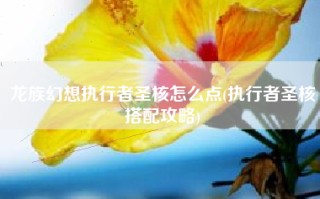 龙族幻想执行者圣核怎么点(执行者圣核搭配攻略)