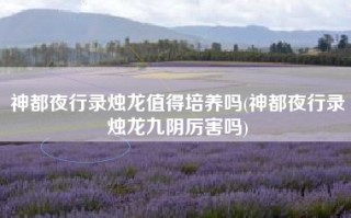 神都夜行录烛龙值得培养吗(神都夜行录烛龙九阴厉害吗)