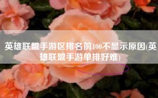 英雄联盟手游区排名前100不显示原因(英雄联盟手游单排好难)