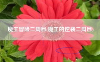 魔王冒险二周目(魔王的逆袭二周目)