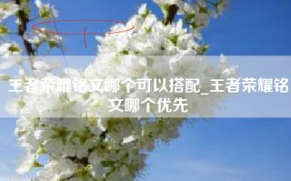 王者荣耀铭文哪个可以搭配_王者荣耀铭文哪个优先