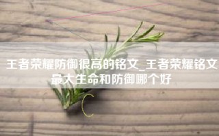 王者荣耀防御很高的铭文_王者荣耀铭文最大生命和防御哪个好