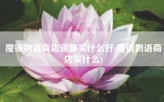 魔镜物语商店资源买什么好(魔镜物语商店买什么)