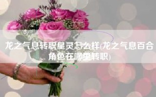 龙之气息转职星灵怎么样(龙之气息百合角色在哪里转职)