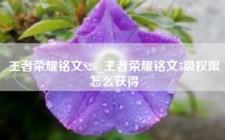 王者荣耀铭文S28_王者荣耀铭文5级权限怎么获得