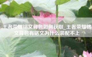 王者荣耀铭文背包如何获取_王者荣耀铭文背包有铭文为什么装配不上