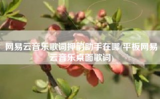 网易云音乐歌词押韵助手在哪(平板网易云音乐桌面歌词)