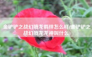 金铲铲之战幻境龙羁绊怎么样(金铲铲之战幻境龙龙神叫什么)