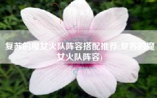 复苏的魔女火队阵容搭配推荐(复苏的魔女火队阵容)