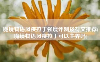 魔镜物语风疾拉丁强度评测及符文推荐(魔镜物语风疾拉丁可以主养吗)