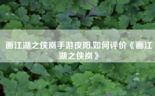画江湖之侠岚手游夜阳,如何评价《画江湖之侠岚》
