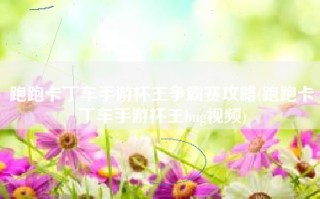 跑跑卡丁车手游杯王争霸赛攻略(跑跑卡丁车手游杯王bug视频)