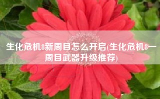 生化危机8新周目怎么开启(生化危机8一周目武器升级推荐)