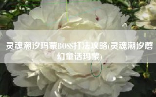 灵魂潮汐玛蒙BOSS打法攻略(灵魂潮汐蘑幻童话玛蒙)