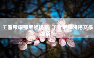 王者荣耀那里领铭文_王者荣耀凯铭文最强搭配