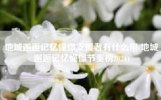 地城邂逅记忆憧憬支援者有什么用(地城邂逅记忆憧憬节奏榜2021)