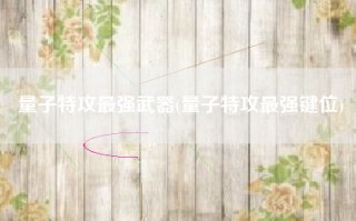量子特攻最强武器(量子特攻最强键位)