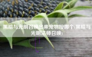 黑暗与光明召唤出来宠物按哪个(黑暗与光明法师召唤)