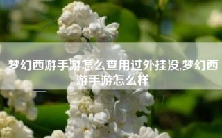 梦幻西游手游怎么查用过外挂没,梦幻西游手游怎么样