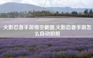 火影忍者手游悟空截图,火影忍者手游怎么自动拍照