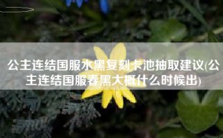公主连结国服水黑复刻卡池抽取建议(公主连结国服春黑大概什么时候出)