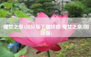 魔女之泉4国际版下载攻略(魔女之泉3国际版)