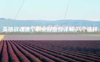 英雄战魂哪个职业好推荐详解(六个选择)