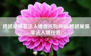 跨越星弧非法入境委托如何做(跨越星弧非法入境任务)