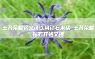 王者荣耀铭文可以用钻石来买_王者荣耀钻石开铭文槽