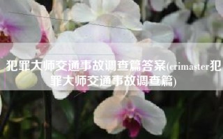 犯罪大师交通事故调查篇答案(crimaster犯罪大师交通事故调查篇)