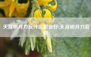天涯明月刀玩什么职业好(天涯明月刀官网)