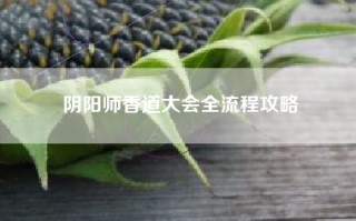 阴阳师香道大会全流程攻略
