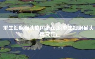 重生细胞猫头鹰图纸在哪(重生细胞猫头鹰变异)