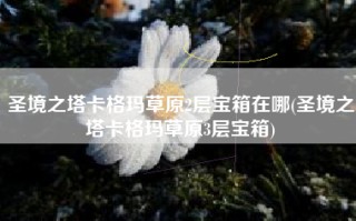 圣境之塔卡格玛草原2层宝箱在哪(圣境之塔卡格玛草原3层宝箱)
