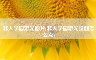 非人学园游光图片(非人学园游光觉醒怎么点)