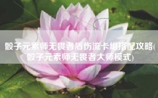 骰子元素师无畏者盾伤流卡组搭配攻略(骰子元素师无畏者大师模式)