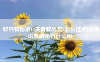 收纳物语第18关请教男友2怎么过(四季物语收纳箱有什么用)