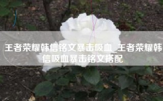 王者荣耀韩信铭文暴击吸血_王者荣耀韩信吸血暴击铭文搭配