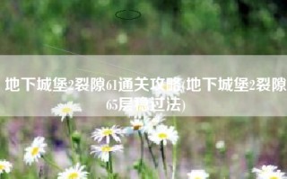 地下城堡2裂隙61通关攻略(地下城堡2裂隙65层稳过法)