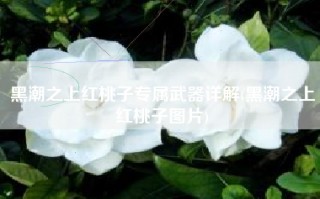 黑潮之上红桃子专属武器详解(黑潮之上红桃子图片)