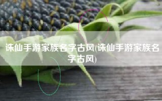 诛仙手游家族名字古风(诛仙手游家族名字古风)