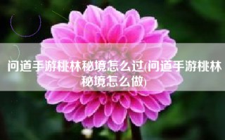 问道手游桃林秘境怎么过(问道手游桃林秘境怎么做)