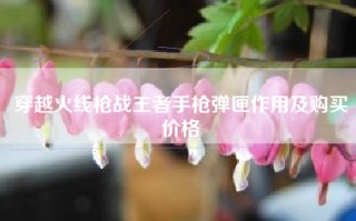 穿越火线枪战王者手枪弹匣作用及购买价格