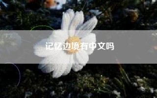 记忆边境有中文吗