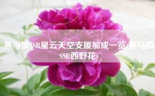 赛马娘SSR星云天空支援加成一览(赛马娘SSR西野花)