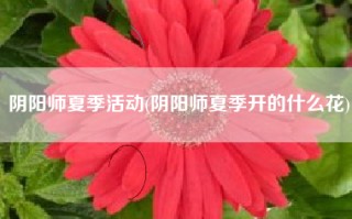 阴阳师夏季活动(阴阳师夏季开的什么花)